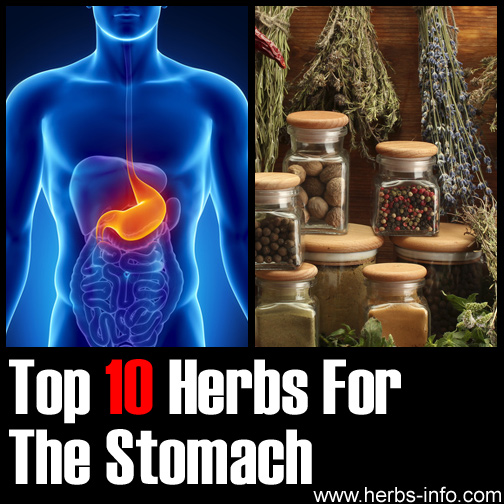 Herbs For Stomach