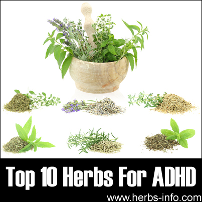 Herbs For ADHD