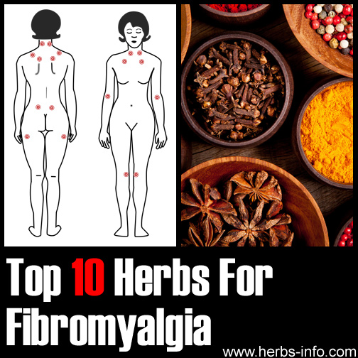 Herbs For Fibromyalgia