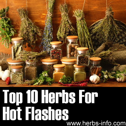 Herbs For Hot Flashes