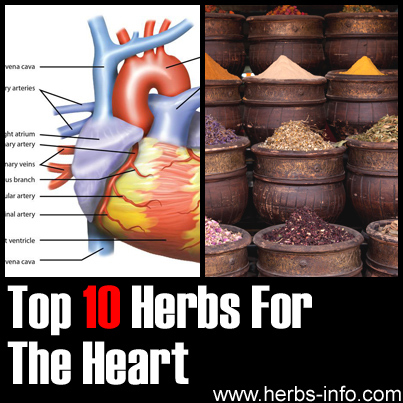 Herbs For The Heart