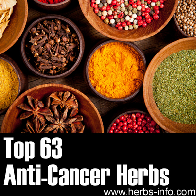 Anti-Cancer Herbs